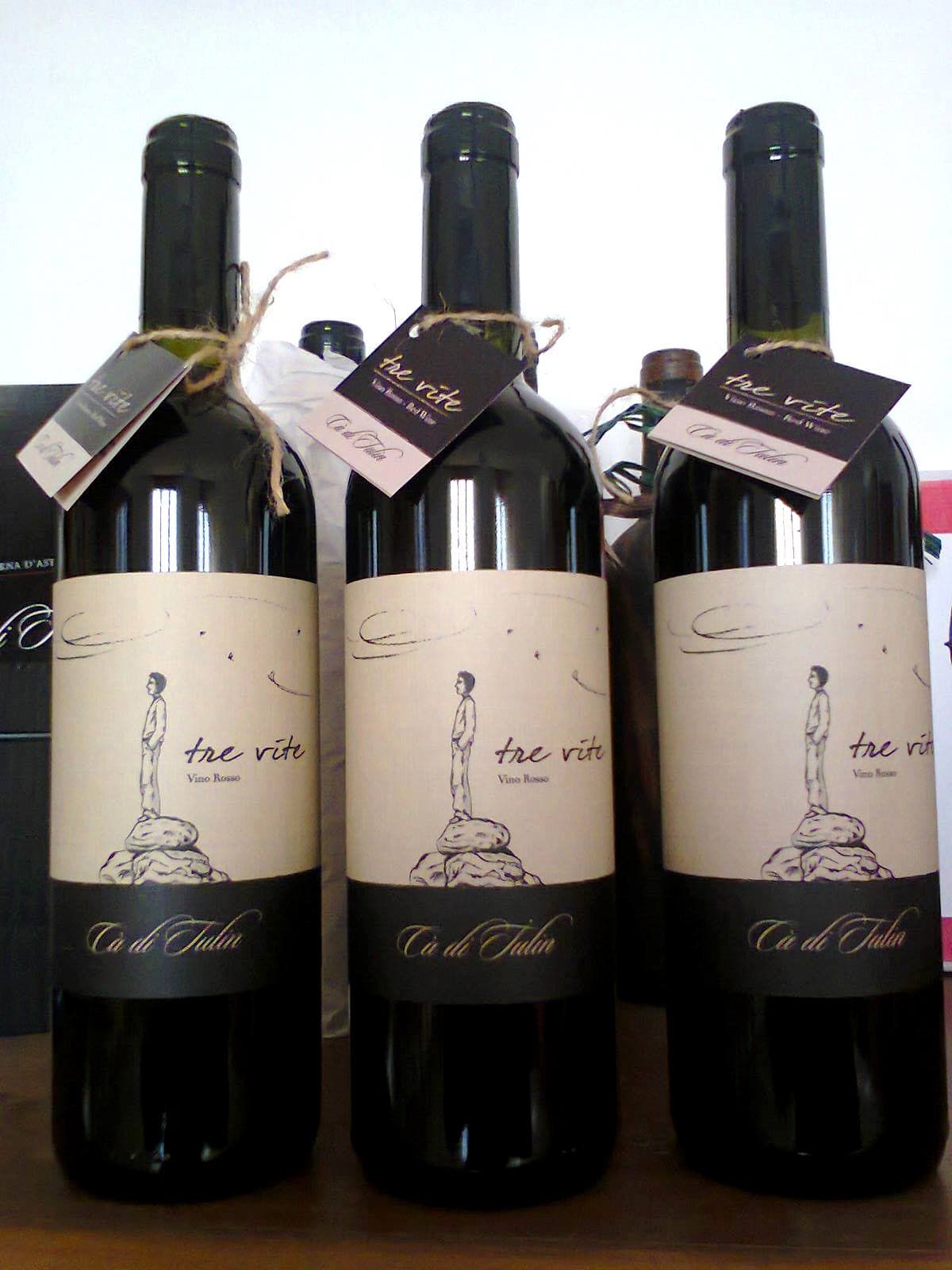 Wine Tasting and Tour at Azienda Agricola Cà di Tulin