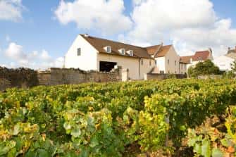 Domaine Yves Boyer Martenot