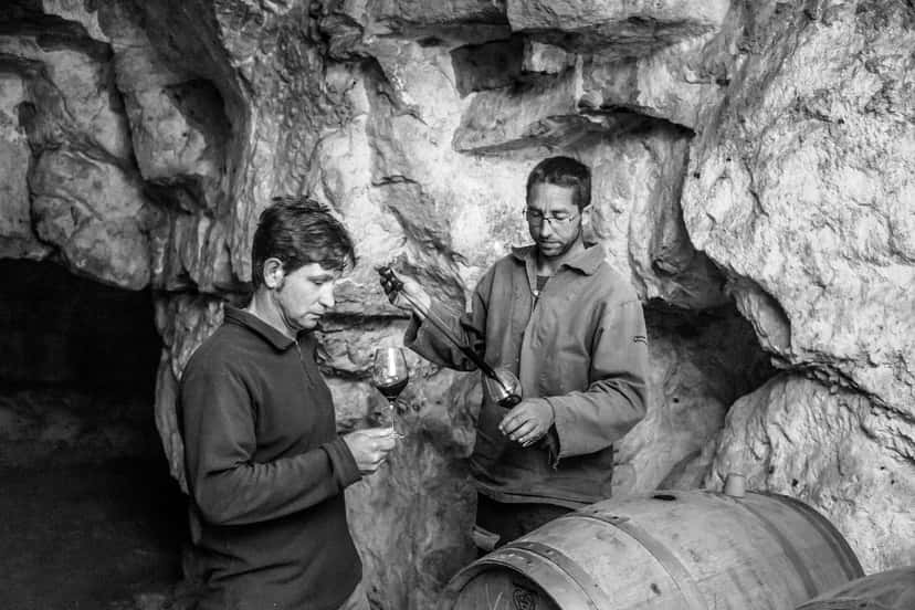 Degustazione di vini e visita al Domaine du Mortier