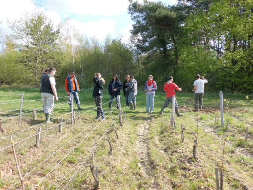 Sfoglia tutti Cibo e Vino in Touraine