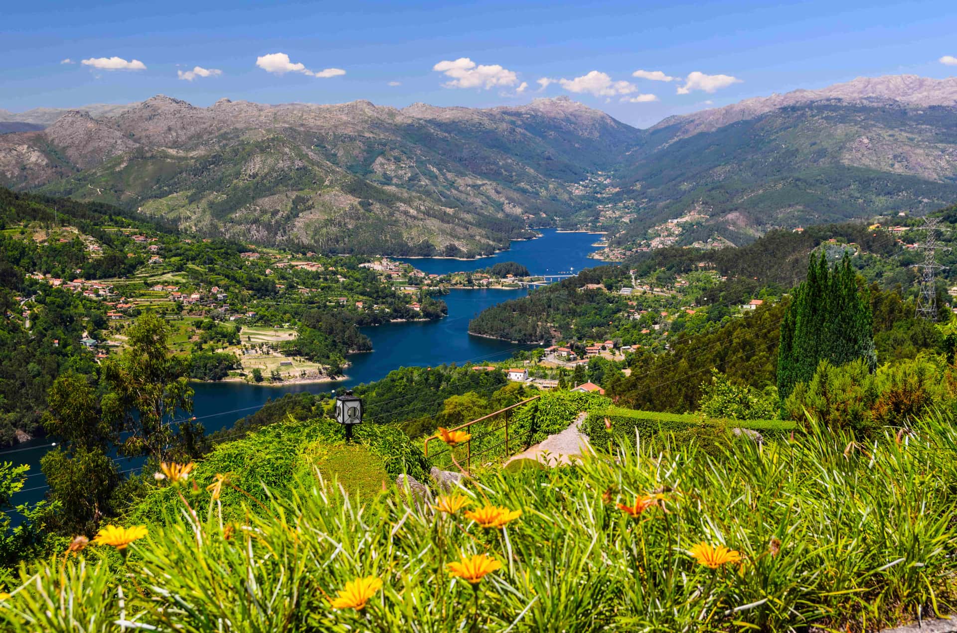 Paisagem de uma região vinícola