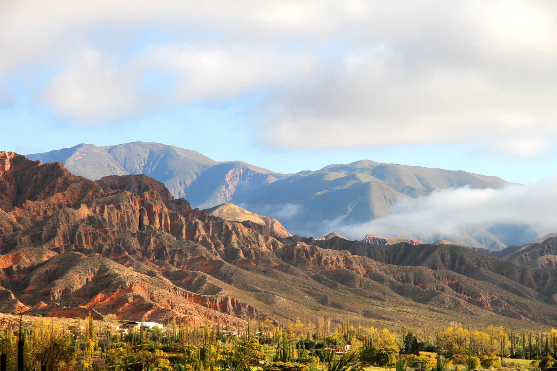 Wine region landscape