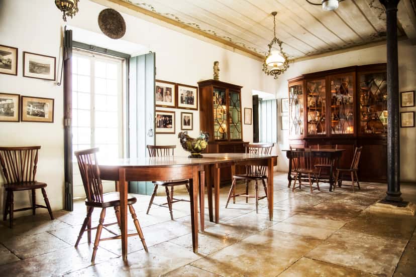 Dégustation de vins premium et visite du manoir José Maria Da Fonseca