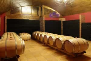 Vinprovning och rundtur på Bodegas Landaluce