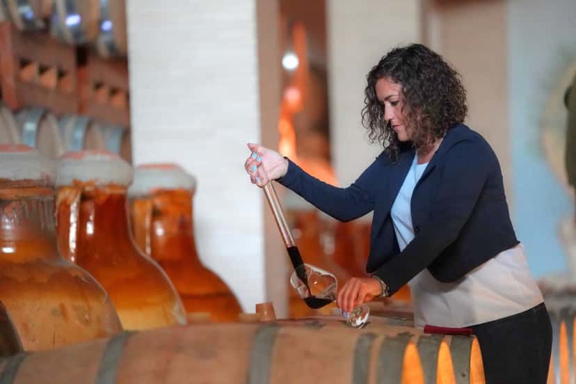 Puglia's Primitivo & Olive Oil Wine Journey