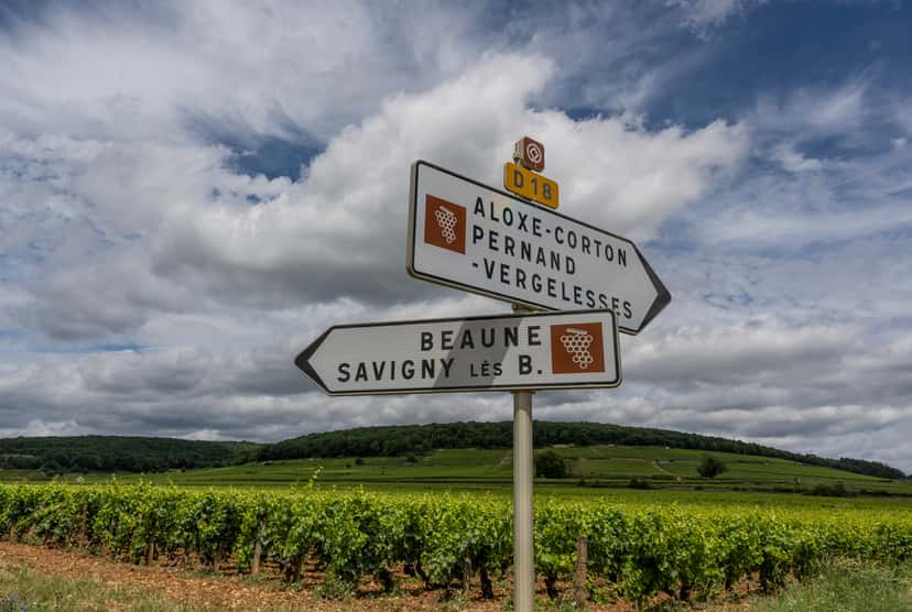 Aloxe-Corton appellation