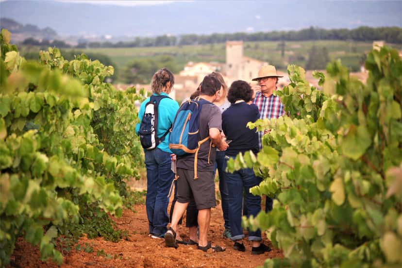 Explore a agricultura ecológica na Catalunha: Visita guiada e degustação de vinhos