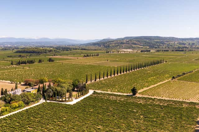 Domaine de la Présidente