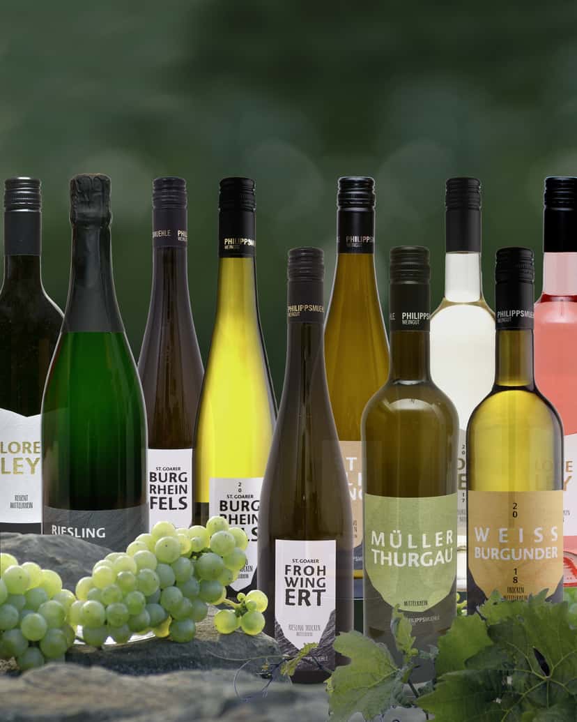 Dégustation de vins au Weingut Philipps-Mühle