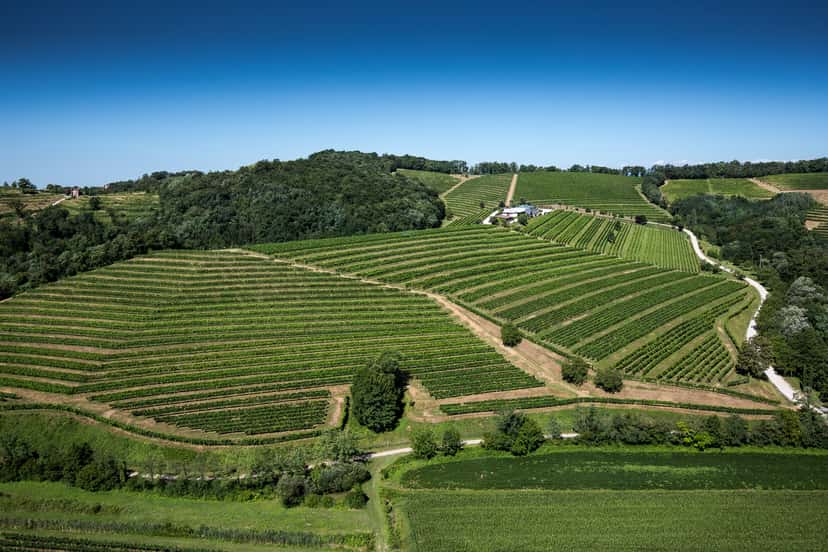 La Viarte Winery