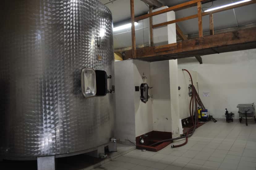 Degustação de vinhos, explicações e todas as respostas que puder para suas perguntas!