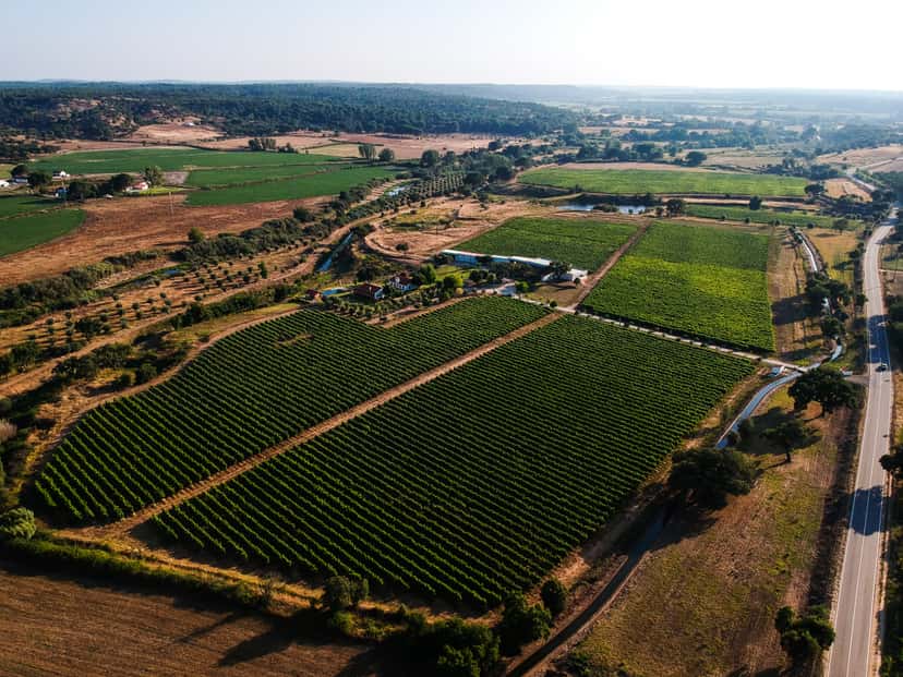 Monte da Raposinha