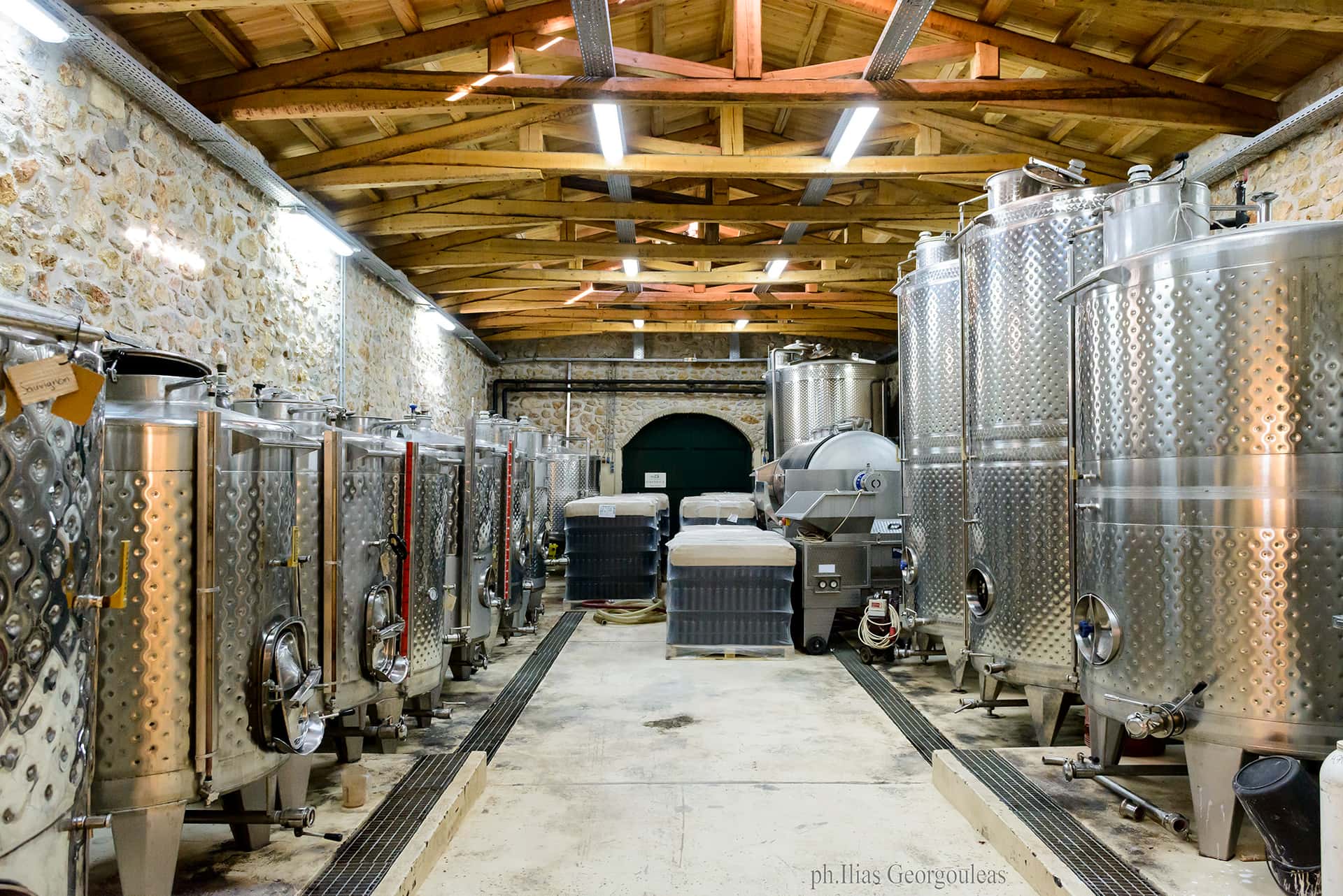 Besuchen Sie das Weingut und die Weinberge mit organisierten…
