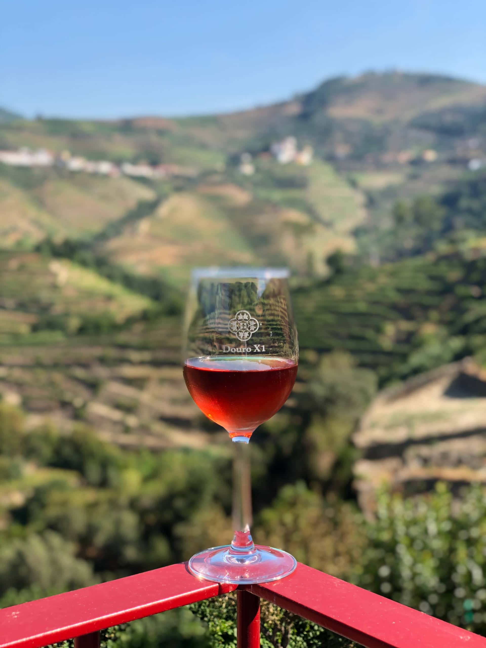 Historic Vineyard Tour & Rare 1959 Port Tasting