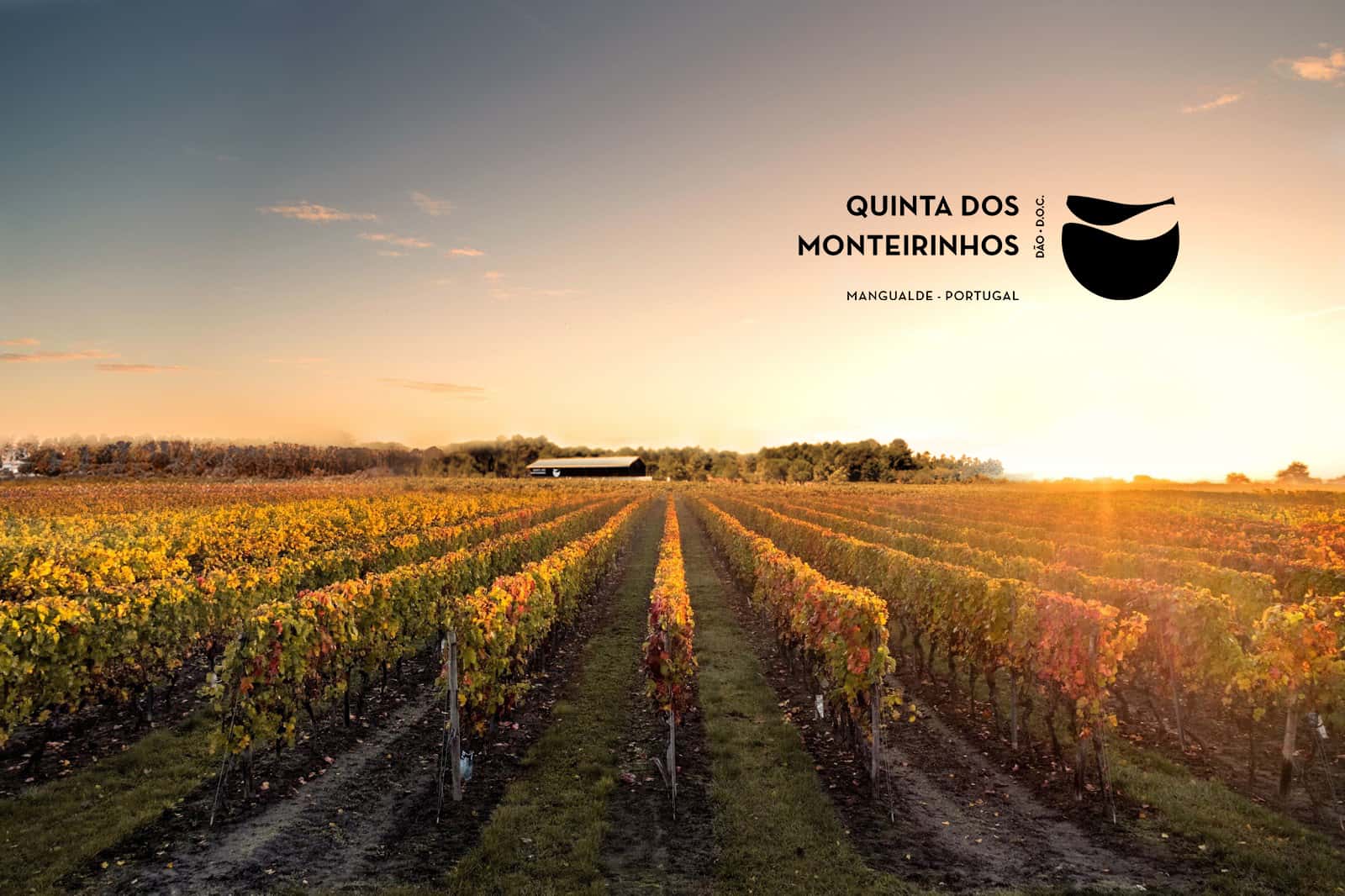 Prova de vinhos 2-AVÔ na Quinta dos Monteirinhos