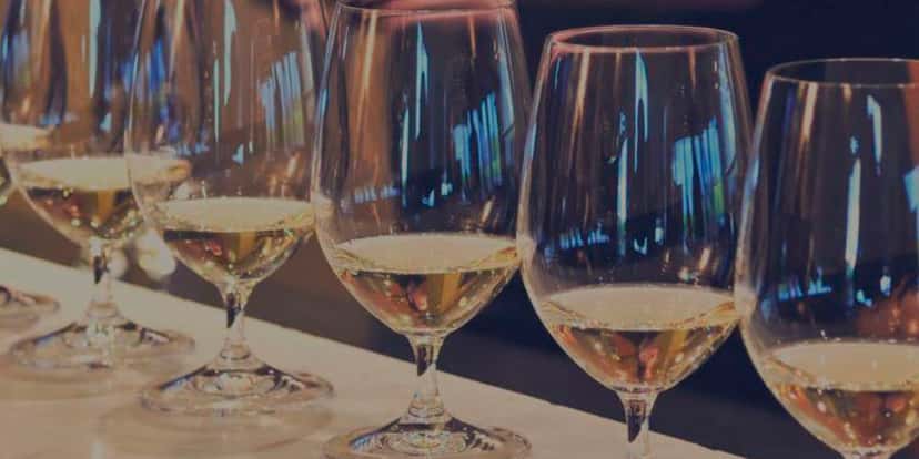 Visite et dégustation de vins au domaine viticole Ludanyi Pince