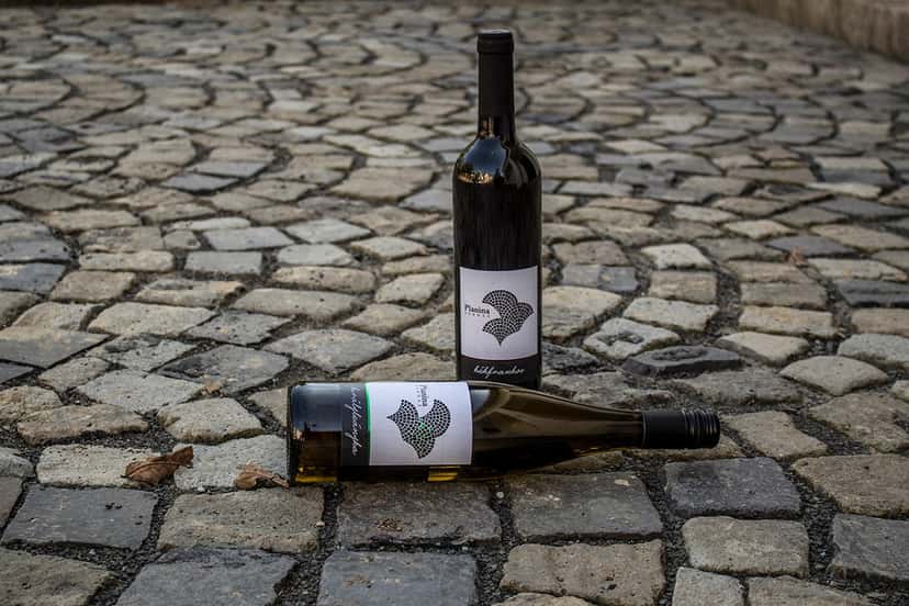 Planina Borház Winery