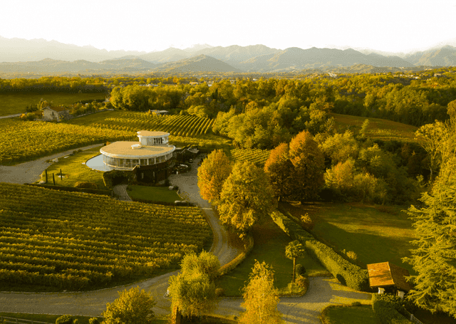 Azienda Vitivinicola Pietro Cassina