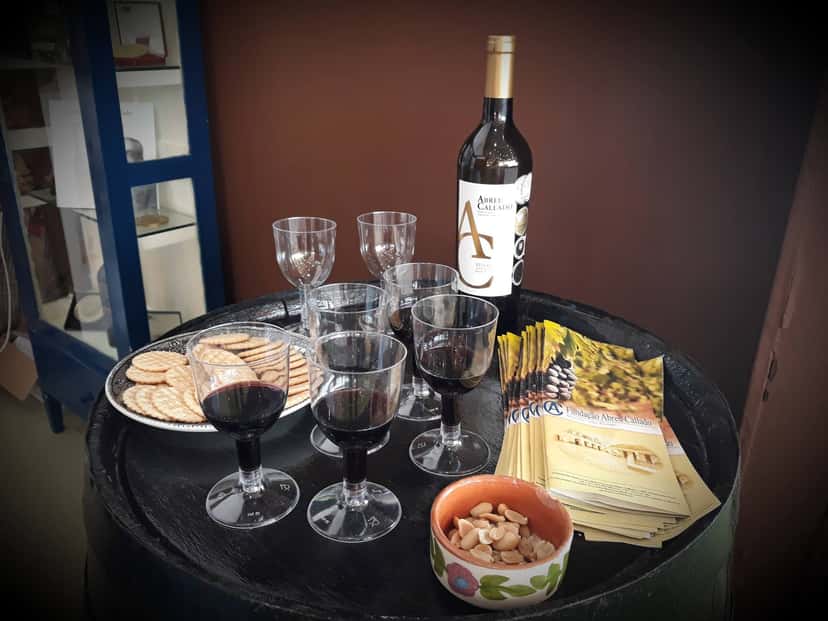 Alentejo Flavors: Lunch, Wine & Heritage Tour