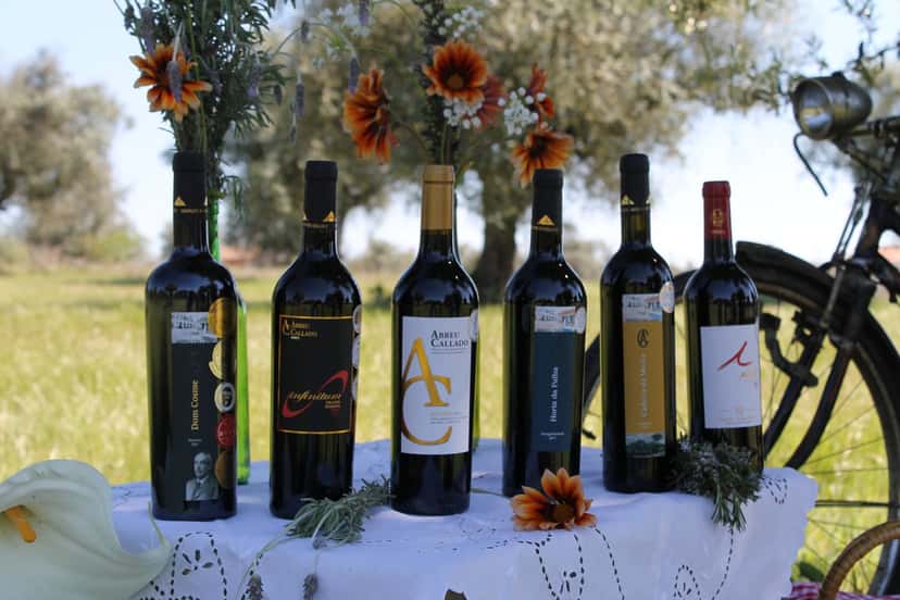 Alentejo Wine & Tradition at Abreu Callado