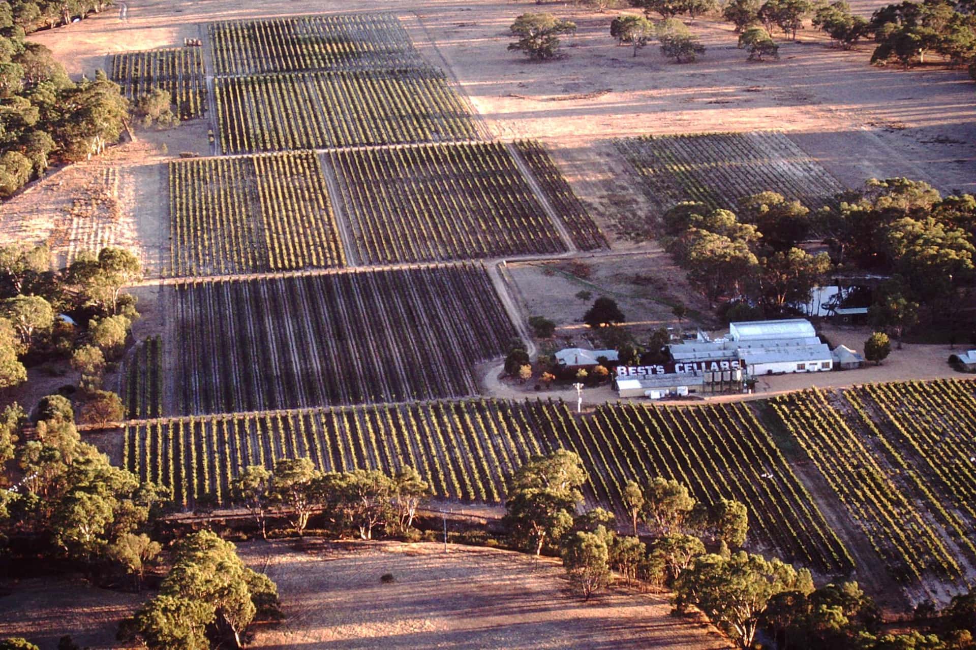 Victoria's Iconic Wine & History Tasting at Best’s