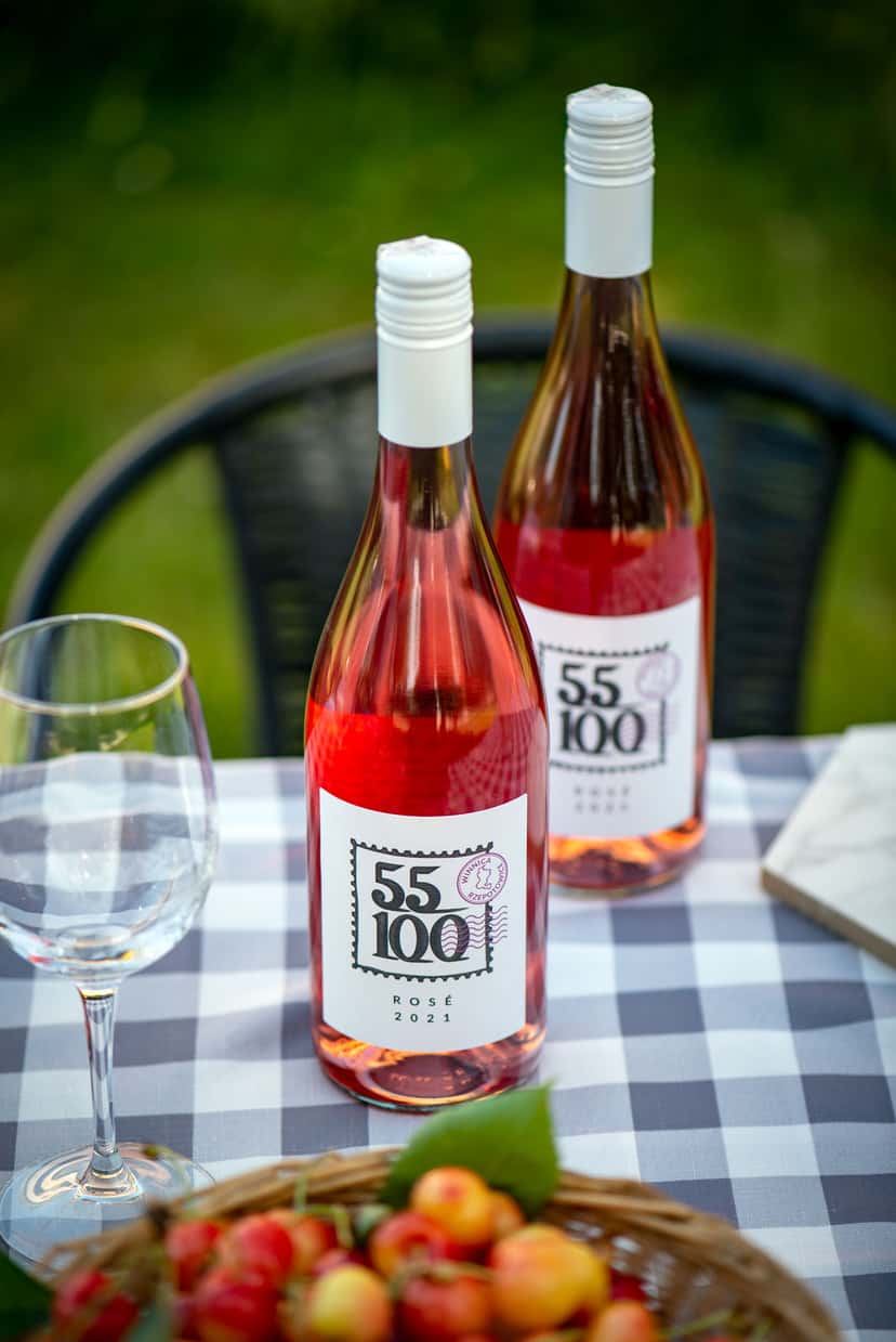 Lower Silesia Sun-Kissed Wine Tasting Adventure