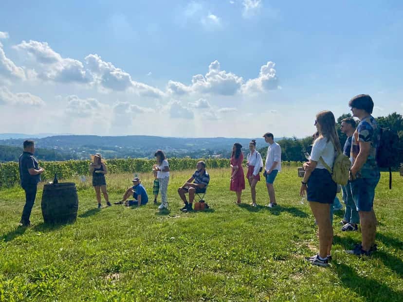 Dégustation de vin dans le vignoble de Wieliczka