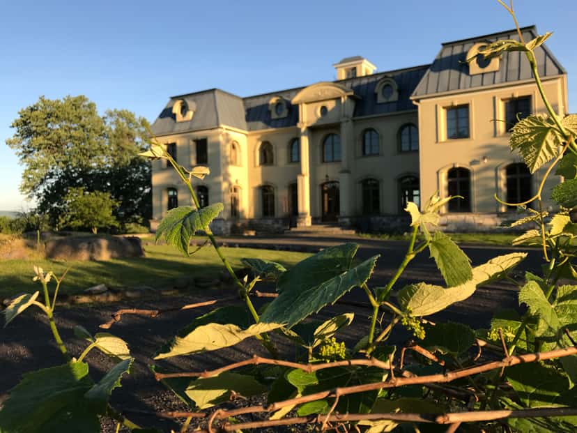 Wine Tasting at La Belle Alliance