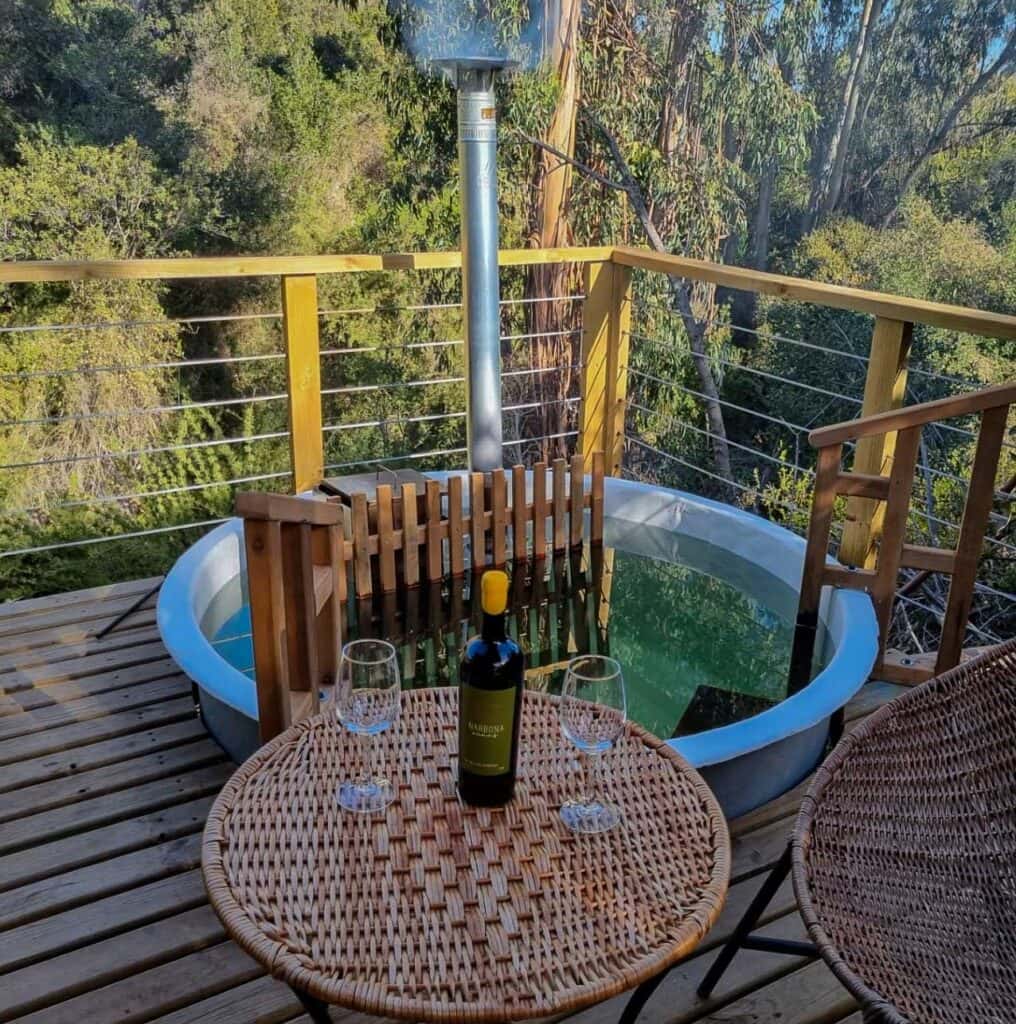 Degustação de vinhos e tour em Narbona Wines