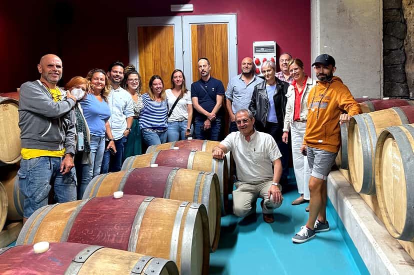 Visita guidata con degustazione alle Bodegas El Sitio
