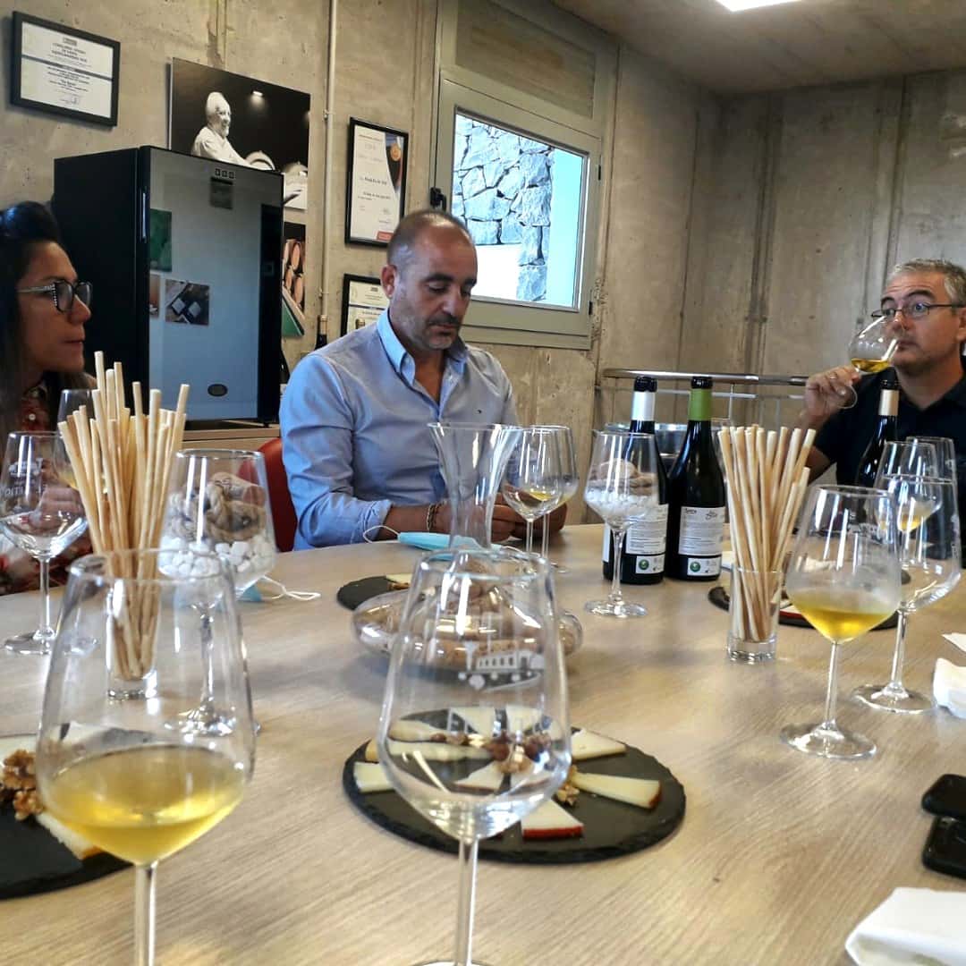 Visita guidata speciale con degustazione a Bodegas El Sitio