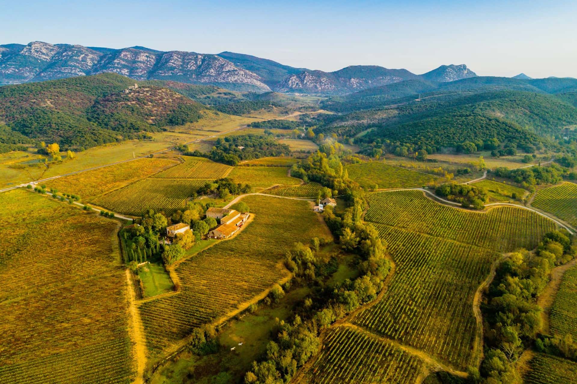 Weinprobe und Tour bei Terre des 2 Sources