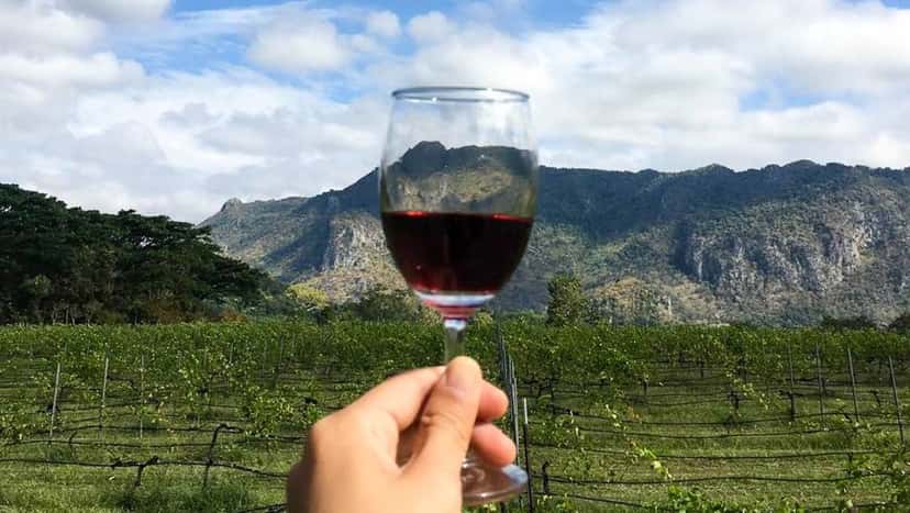Wine Tasting and Tour at PB Valley Khao Yai Winery