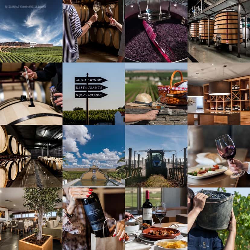 Alentejo Terroir & Tasting at Ribafreixo