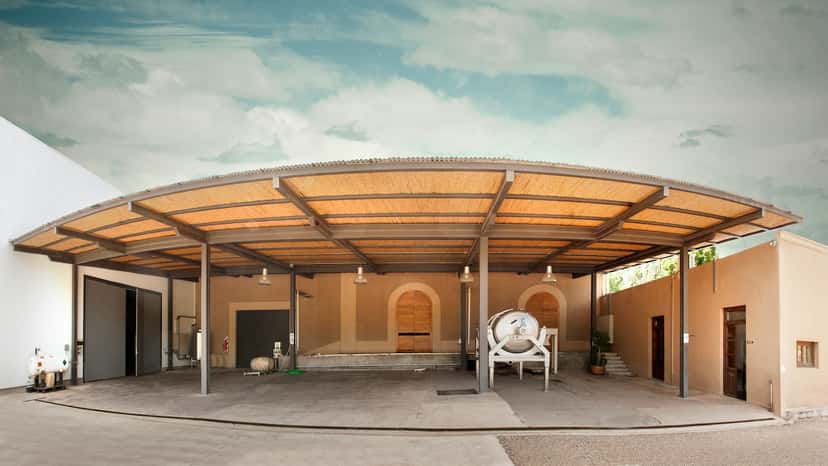 Mendoza’s Hidden Gems: Rare Wine Tasting at Martino