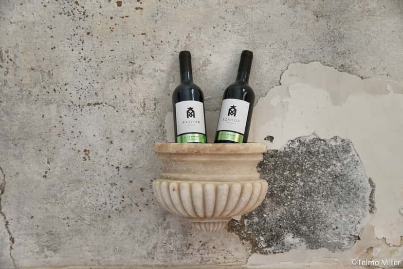 Dégustation de vins et visite avec un œnologue chez Azamor Wines