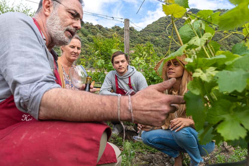 Andalusia's Historic Winery & Wine Tasting Delight