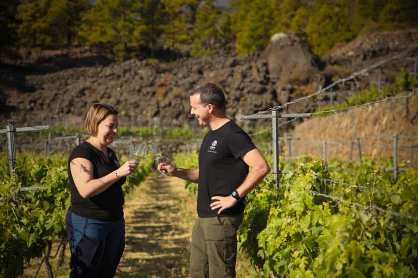 Bodegas Ferrera