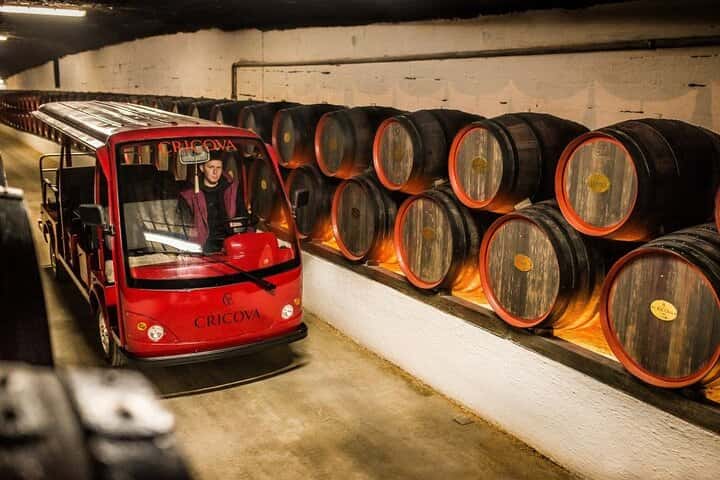 Excursion to Cricova and Milestii Mici Wineries with Wine Tasting