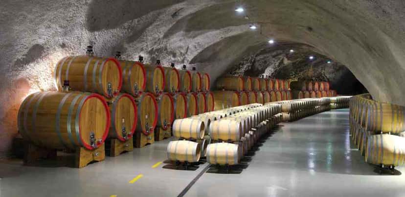 Visite de la route des vins de Podgorica