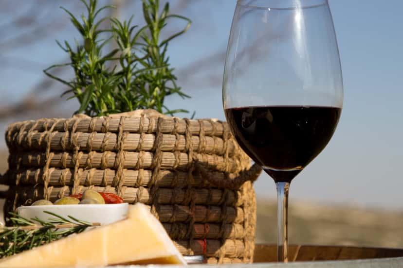 Kosher Wine Private Tour