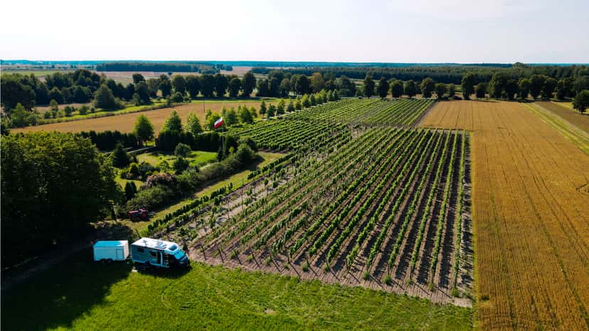Lublin Region Wine Tour & Tasting at Sienkiewicz