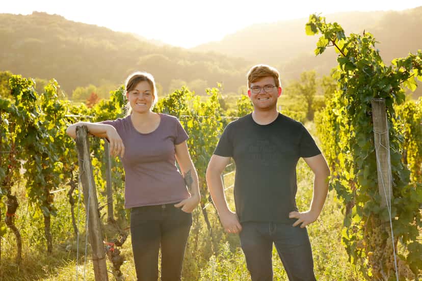 Pfalz Wine Journey: Tasting & Cellar Tour at Margarethenhof