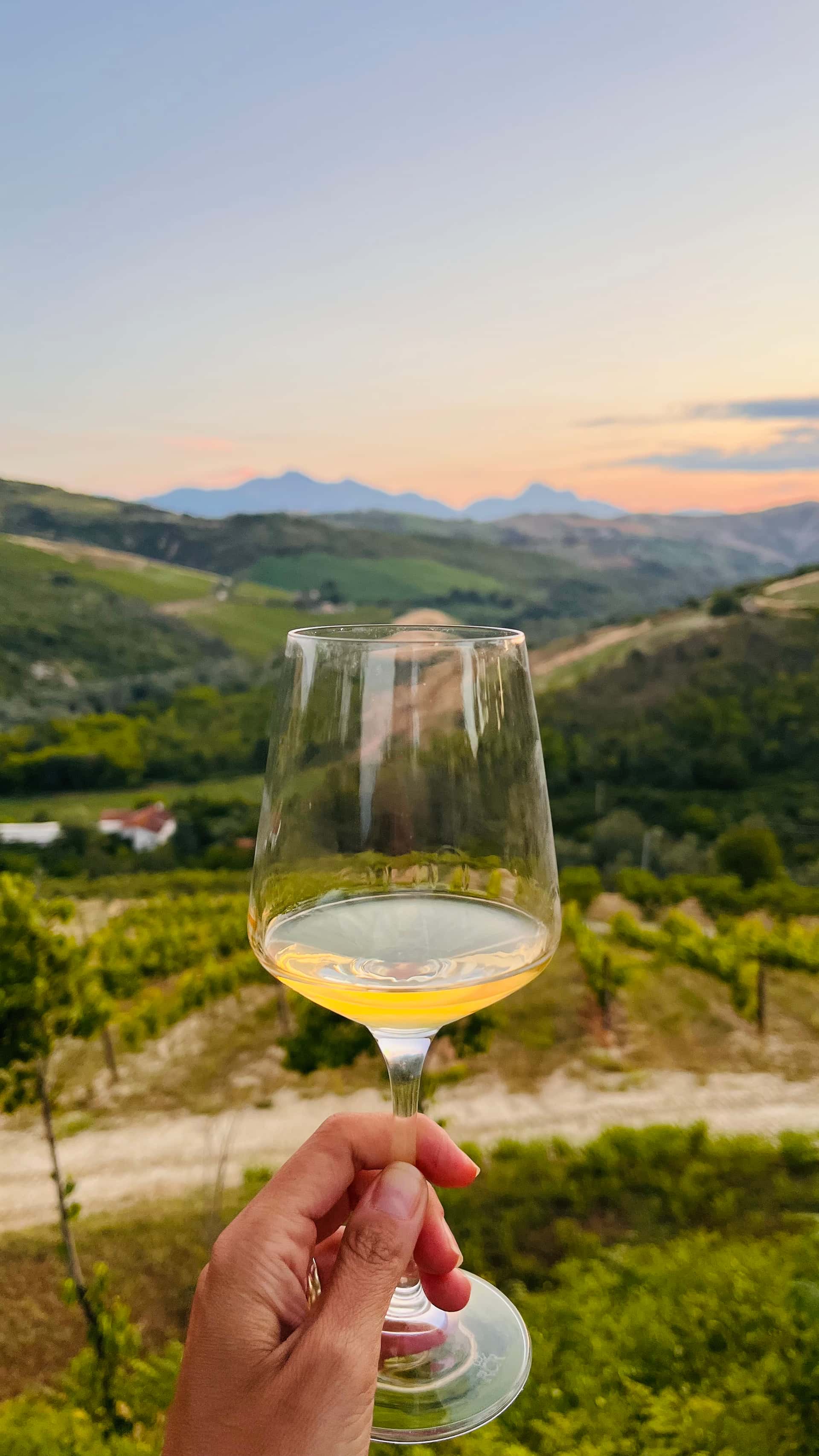Todo sobre las ánforas en Cirelli Wines