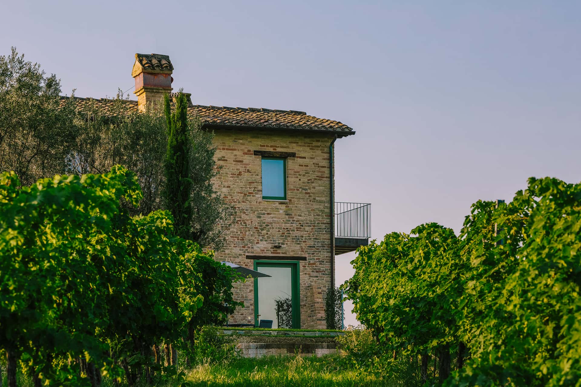 Séjournez au Panoramic Wine Resort | Tenuta Cocci Grifoni
