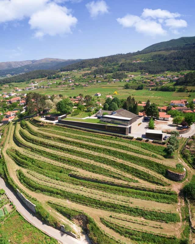 Soalheiro