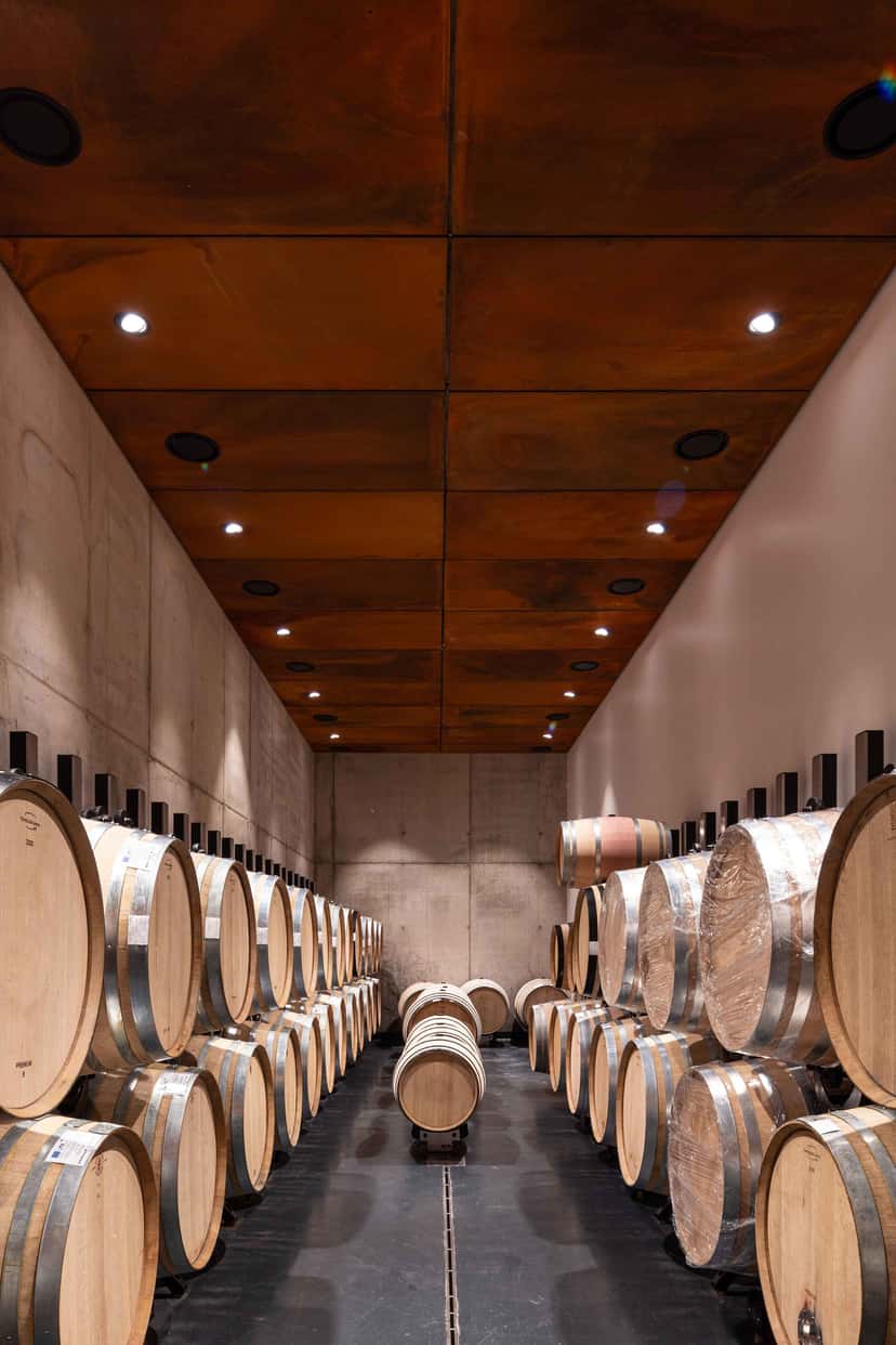 Degustação de vinhos em La Nascosta