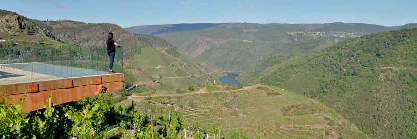 Visite et dégustation de vins aux Bodegas Regina Viarum