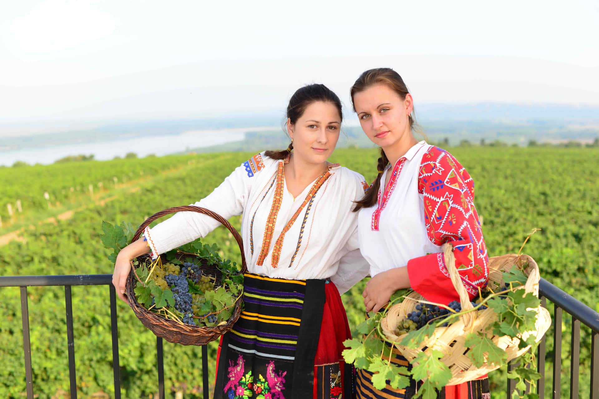 Visita a viñedos y bodegas y cata de vinos | Château Burgozone