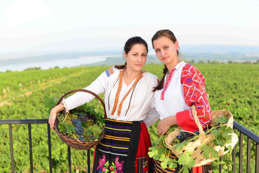 Danubian Plain Vineyard Escape & Wine Tasting